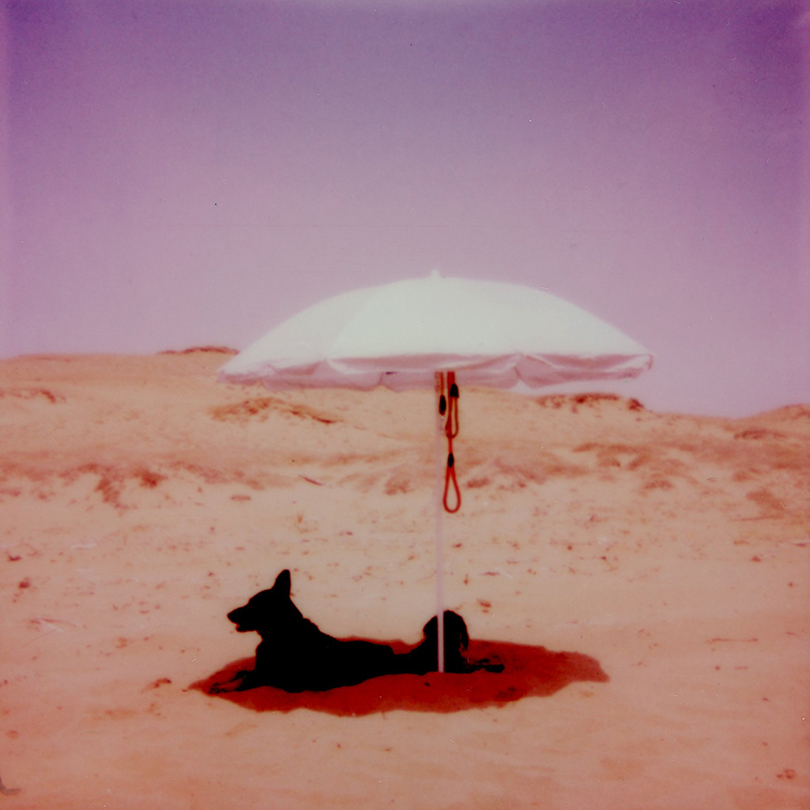 c 10 21 / marinizmi.. Dream On. Olivera Indjić