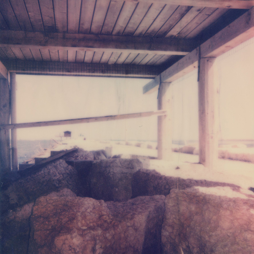 c 20 21 / marinizmi.. Dream On. Olivera Indjić